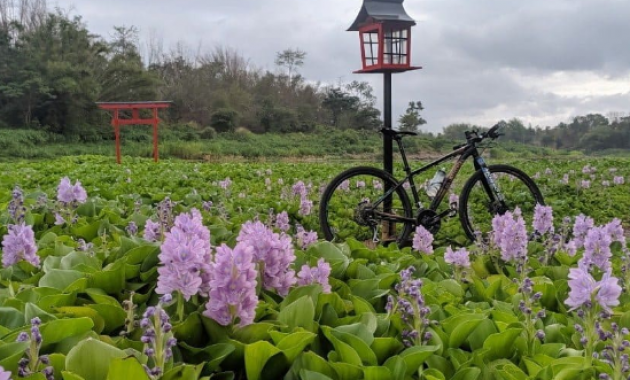 Jogja