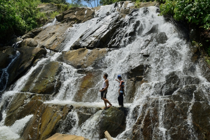 Lampung tengah