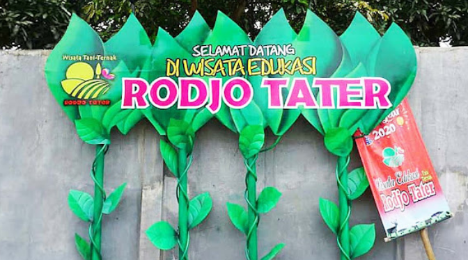 rodjo tater tegal