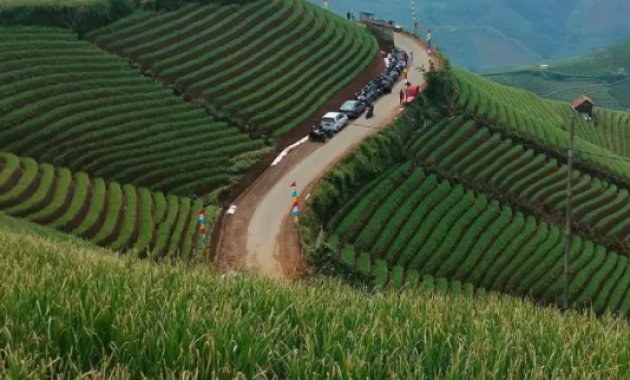 Panyaweuyan