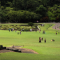 Kebun Raya Bogor