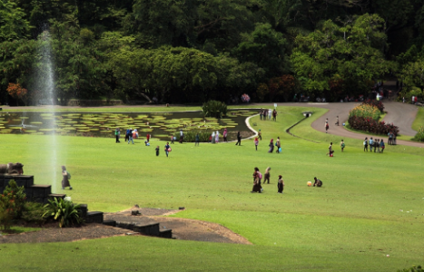 Kebun Raya Bogor